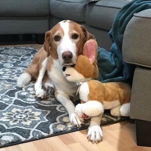 Meet your Posher, Julia